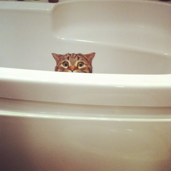 Ольга Шепель