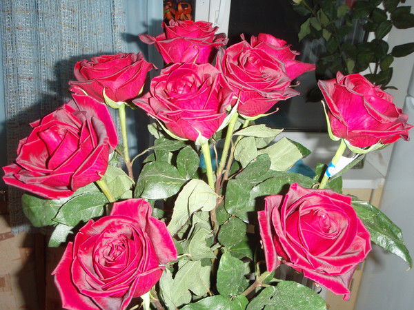 Галина Рожкова