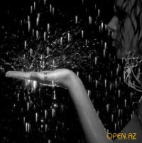 Светлана Елисеева