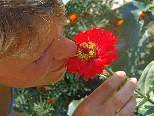 ***галченок ***