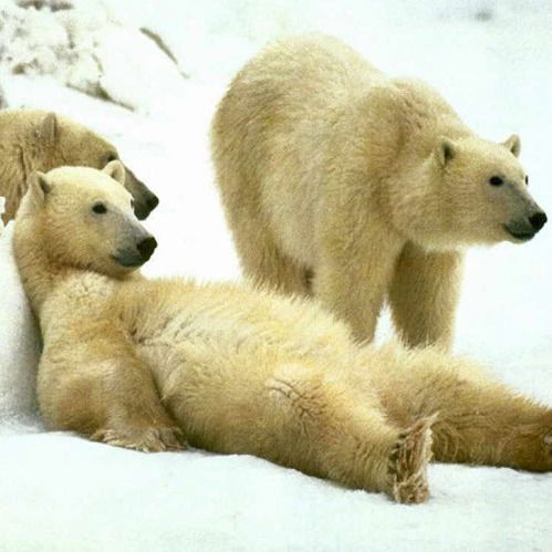 Мария Лапина