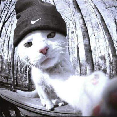 Константин Прогонный