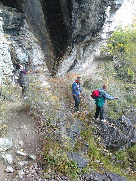 Светлана )))