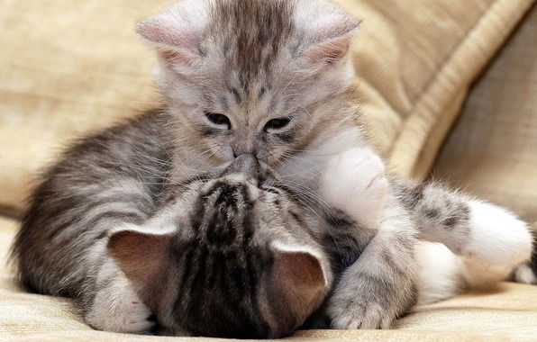 Айнур Бекентаева