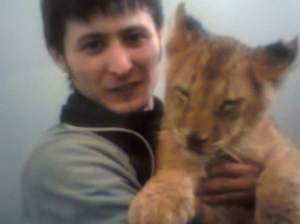 Тимар Лютфи