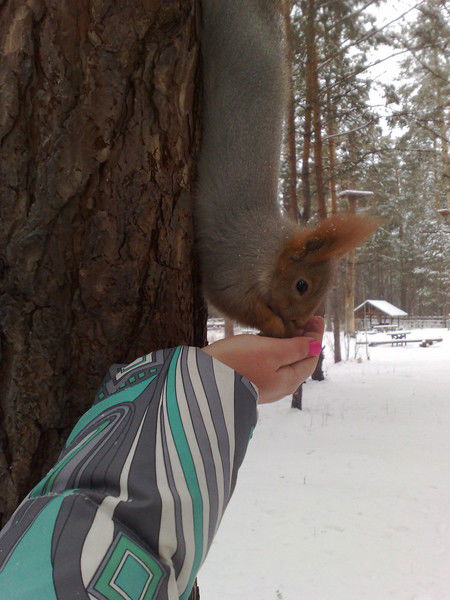 Алёнушка Прокопьева