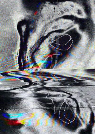 Аня Мирошникова