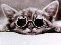 Максим Нажметдинов