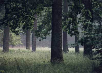 Александр Дубов