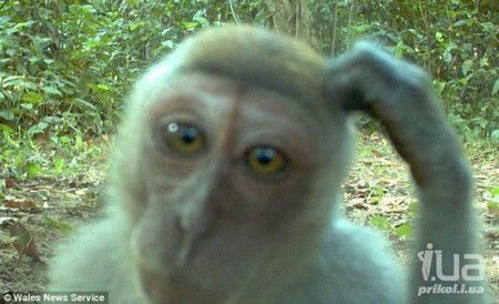 Юлия Мельник