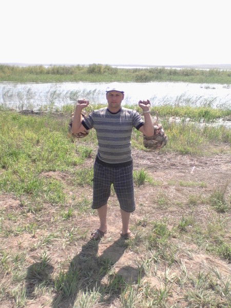 Анатолий Городовец