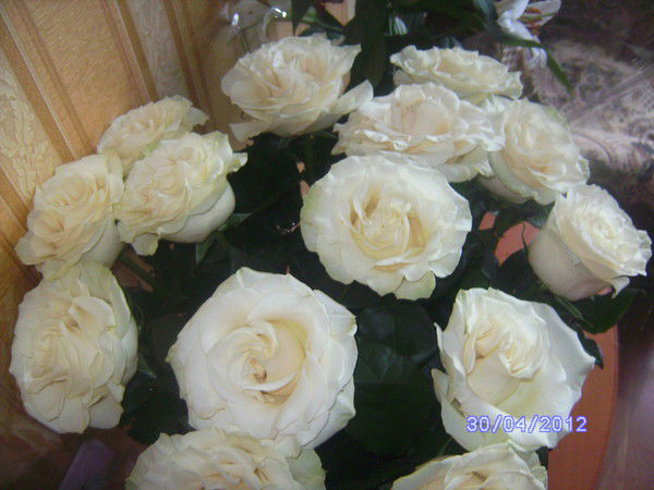 Наталия Кондратьева