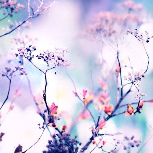 Карабатова Елена