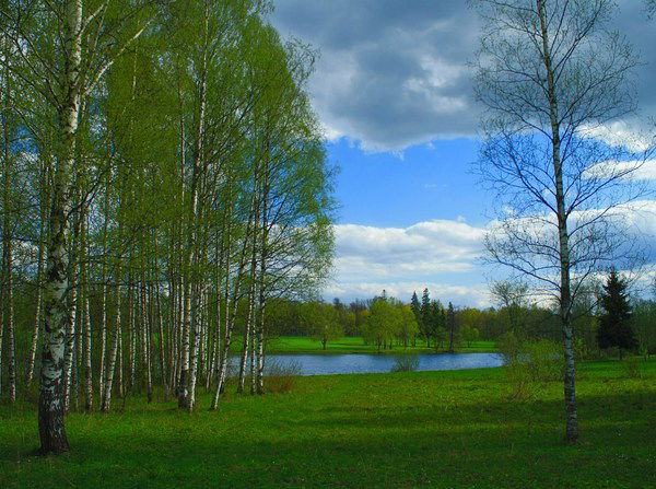 Багдат Майтыбаева