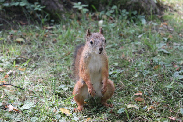 *** Татьяна ***