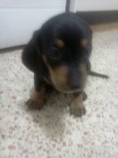 Ира Ремезова