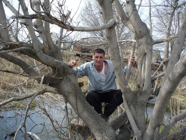 Николай Новичков