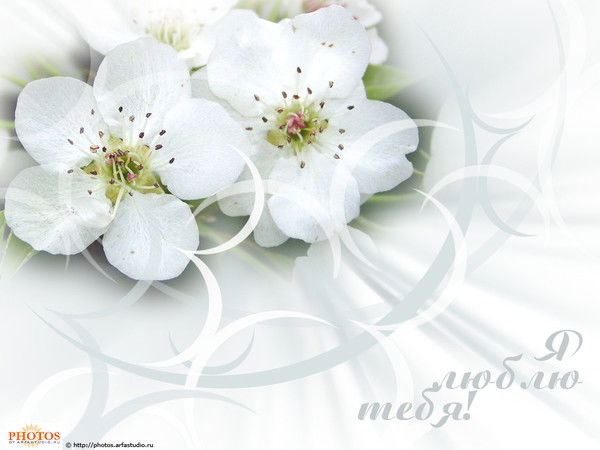 Татьяна Гончарова