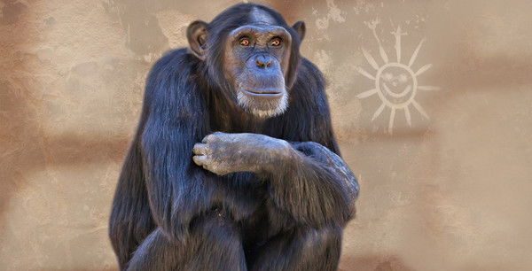 Тажиев Тимур