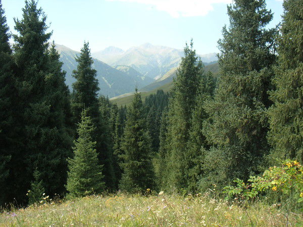 Виталий Ведь