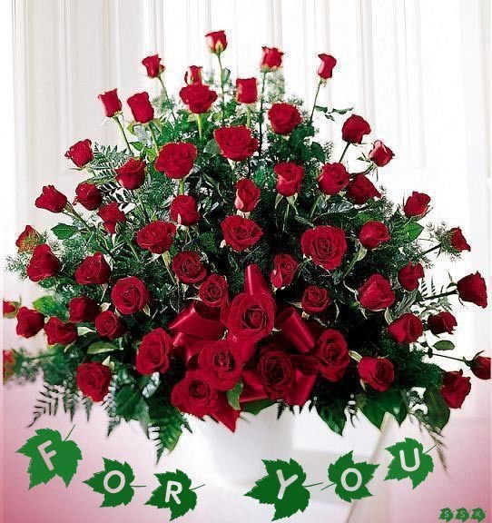 Светлана Калагина