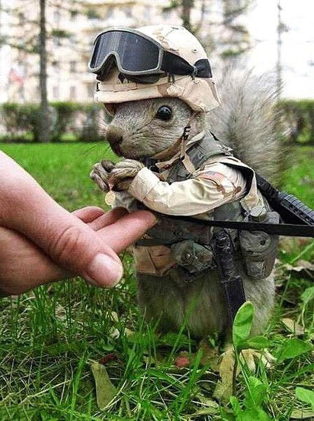 Самрат Айкешев