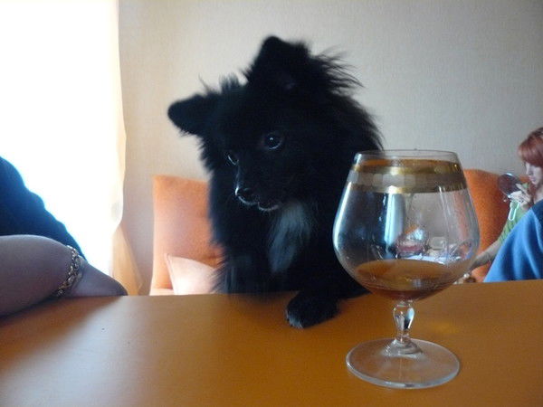 Владислав Дорофеев