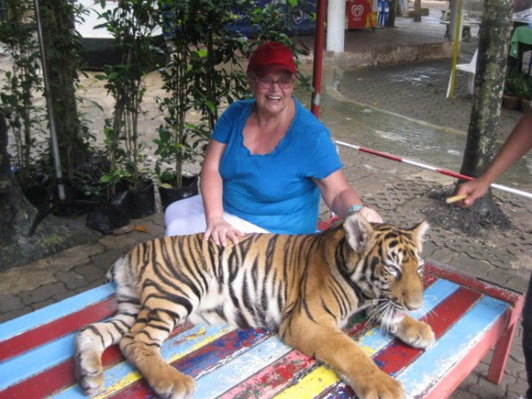 Елена Мусинова