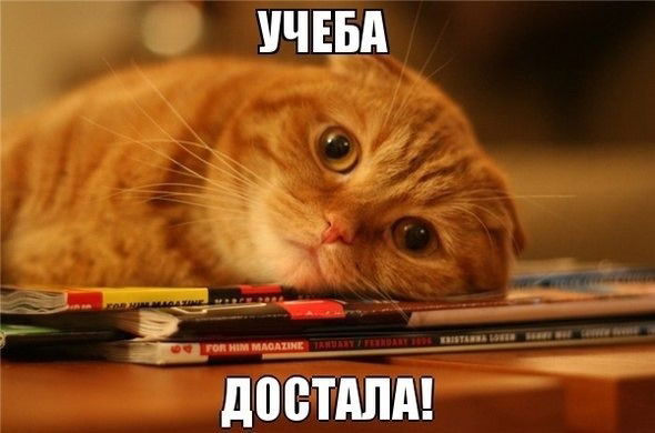 Стас Можайкин