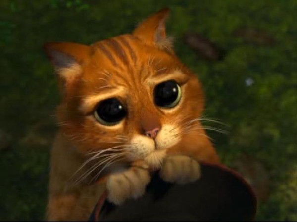 Алексей Кустов