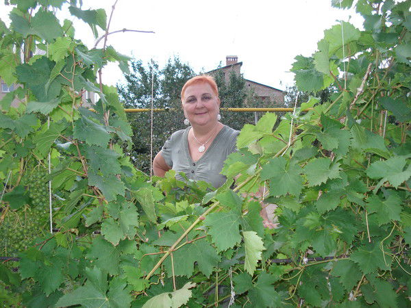 Людмила Чижова