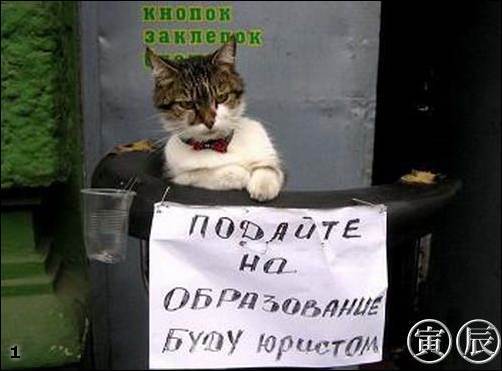 Алексей Барашков