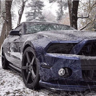 Дмитрий Бубнов