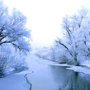 Таня Звенигородская