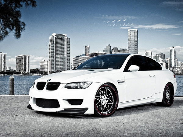 Алёна Шевелёва