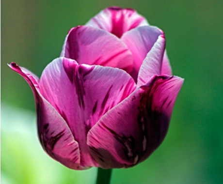 Мадина Ермекпаева