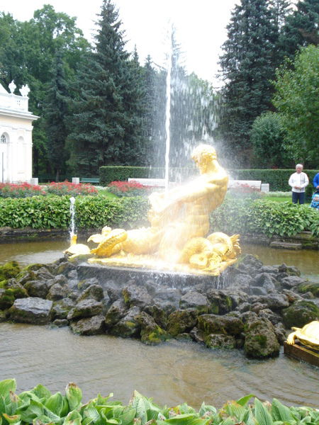 Елена Котлова