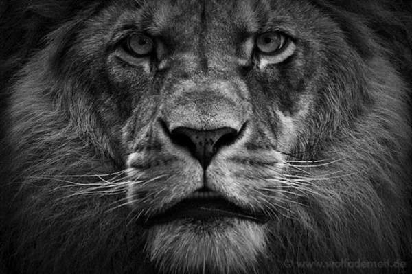 Ербол Карденов