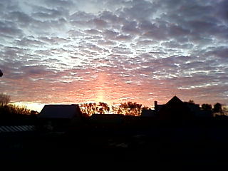 Александр Кардаполов