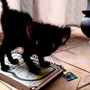 Данил Шакиров