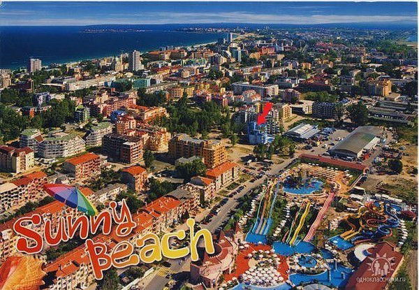 Сергей Зверяка