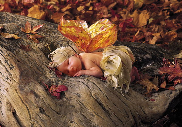 Алена Комарова