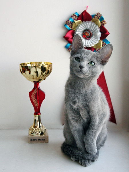 Марина Ковалева