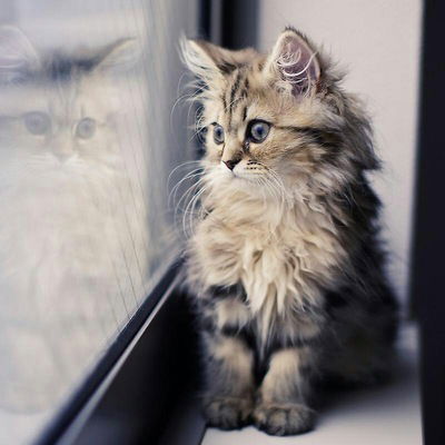 Алька Лебедева