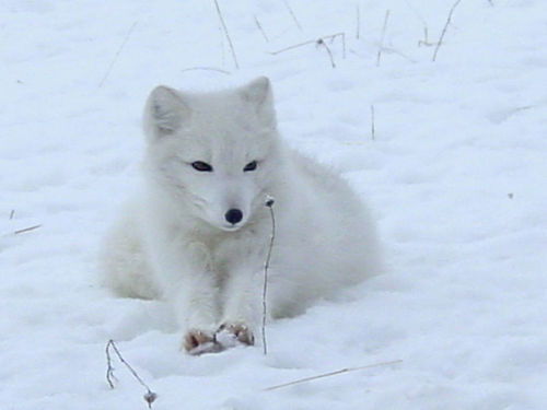 Михаил Федоров