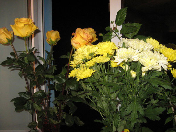 Людмила Мандык