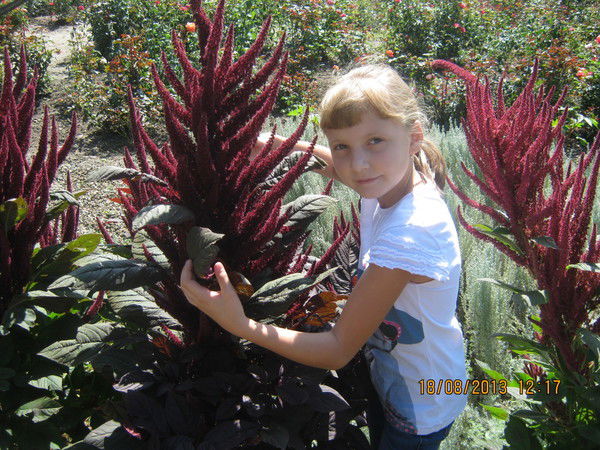 Алиночка Ылыкан