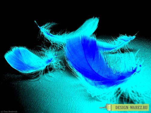 Светлана Губанова