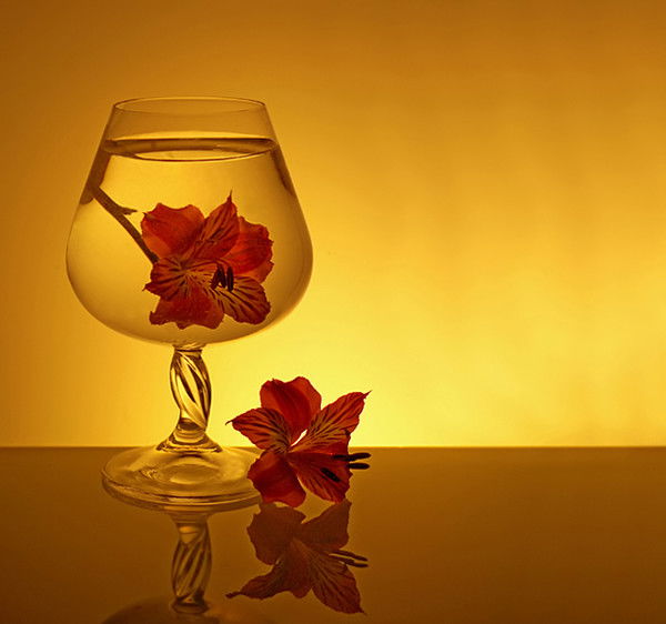 Светлана Трущелева