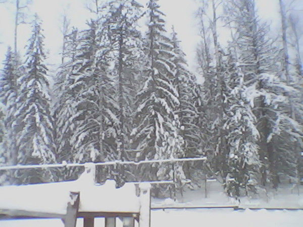 Анатолий Парахнич